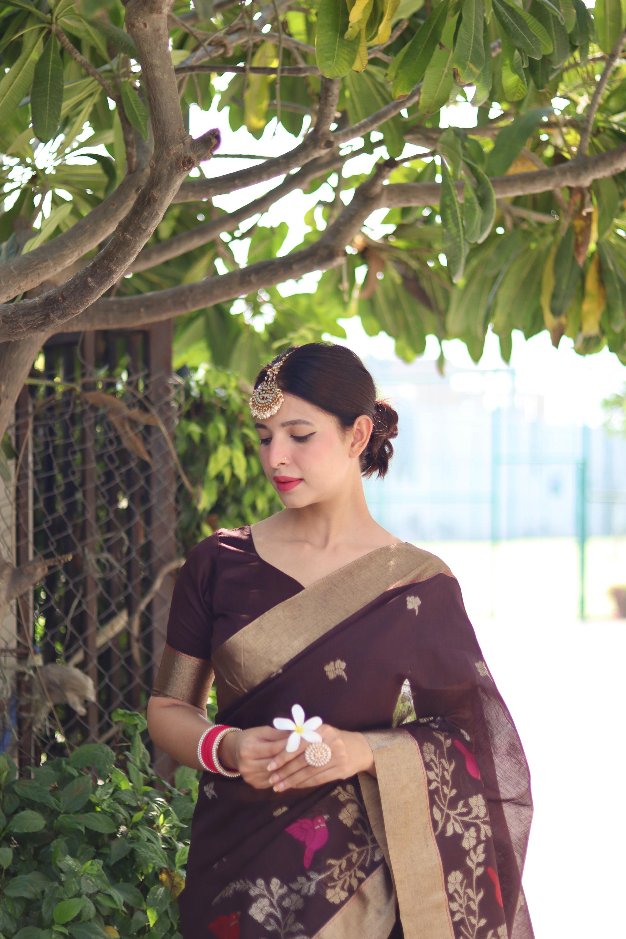 Brown Linen Silk Zari Weaving Border Saree with Fancy Rich Pallu